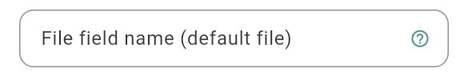 File field name